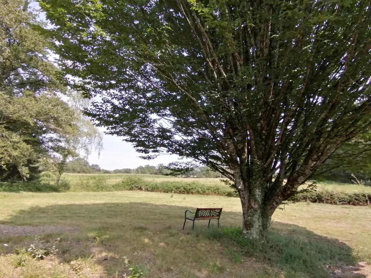 La Coquille Le Gite Du Parc المظهر الخارجي الصورة