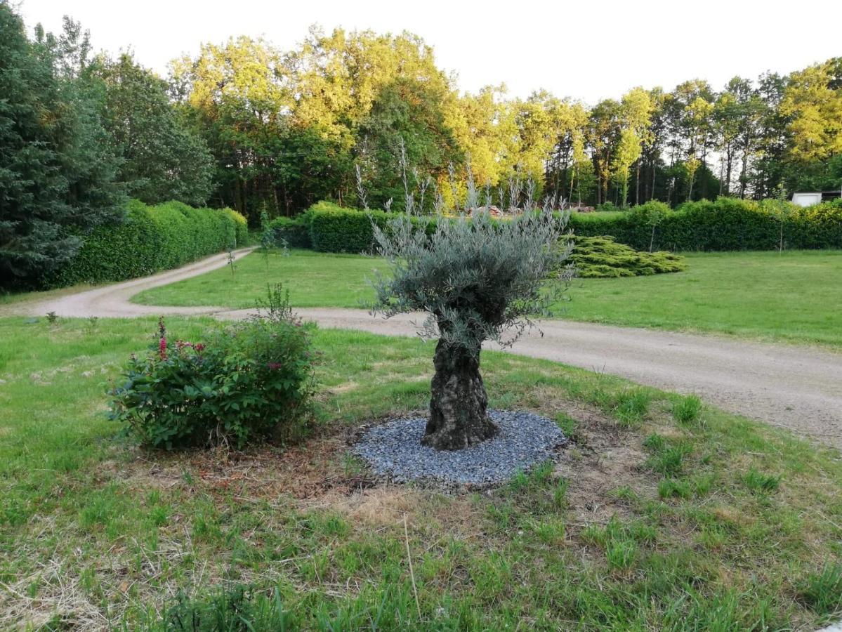 La Coquille Le Gite Du Parc المظهر الخارجي الصورة